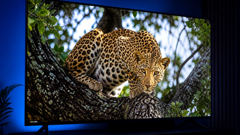 XTREM HD IPTV 2026 — Premium 4K Streaming